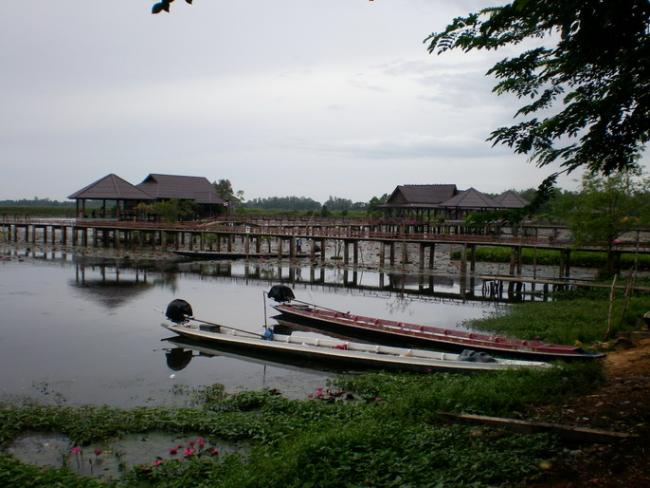 SANY7395.jpg